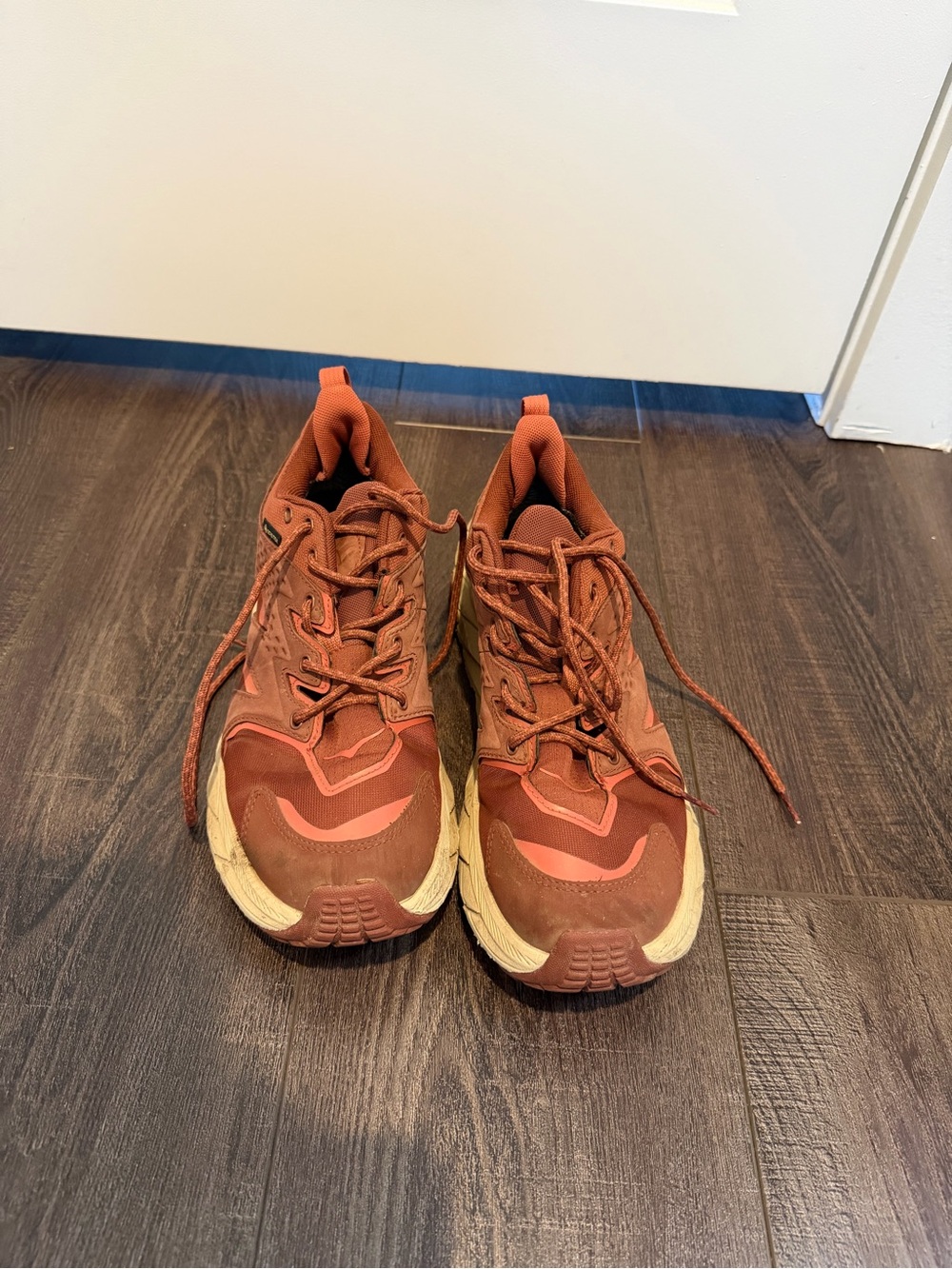 Hoka Hiking Shoes